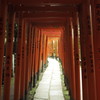 光を求めて