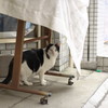 げっ、見つかった！