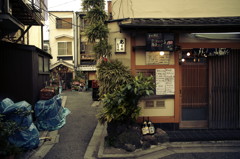 鴬の鳴かない路地裏