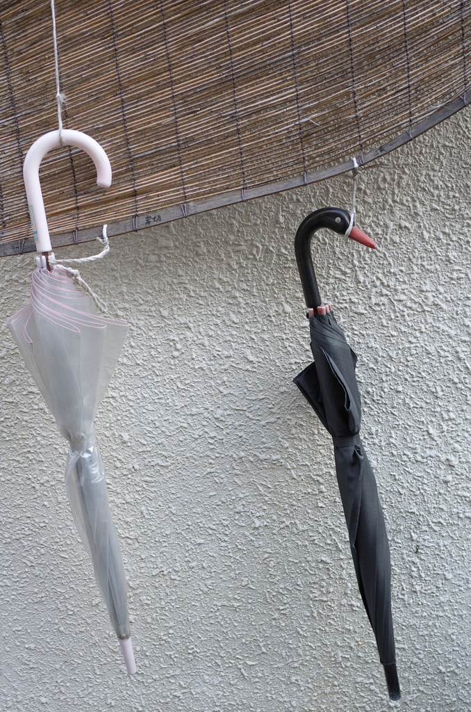 Duck-Umbrella