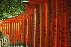 無数の朱