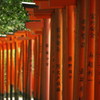 無数の朱