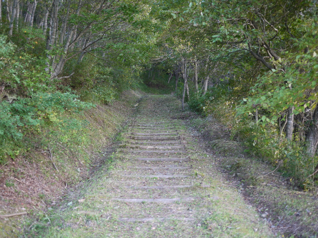 気になる山道