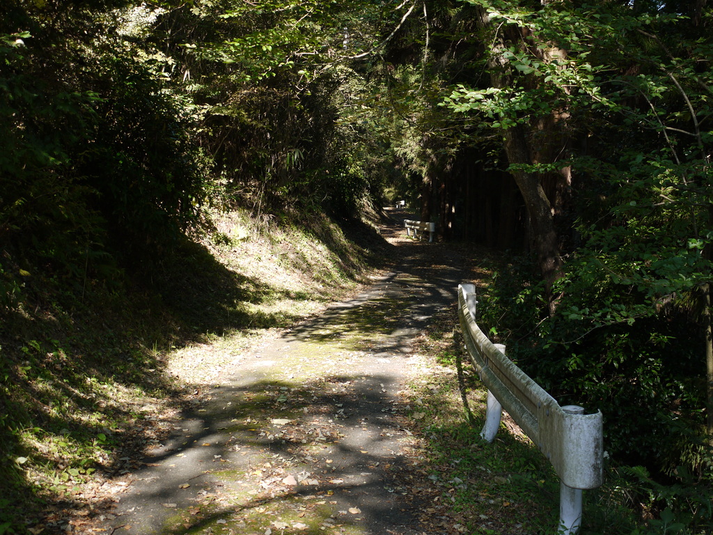 公園に通じる道