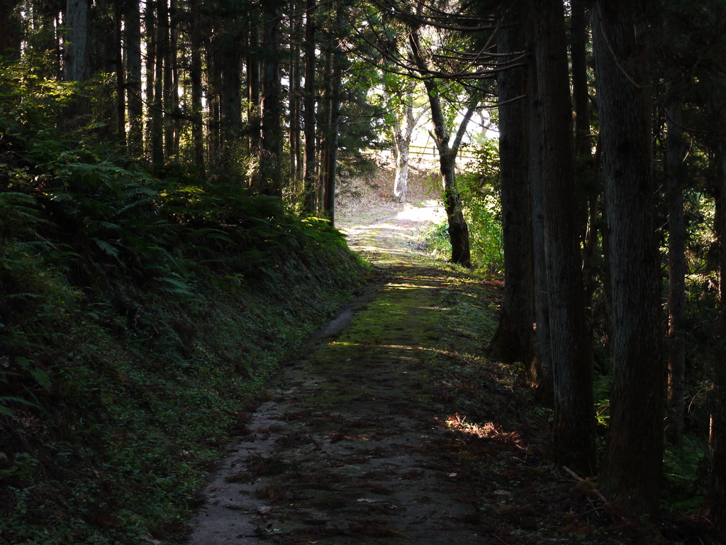 公園に通じる道２
