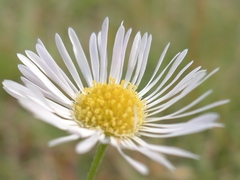 P1070297