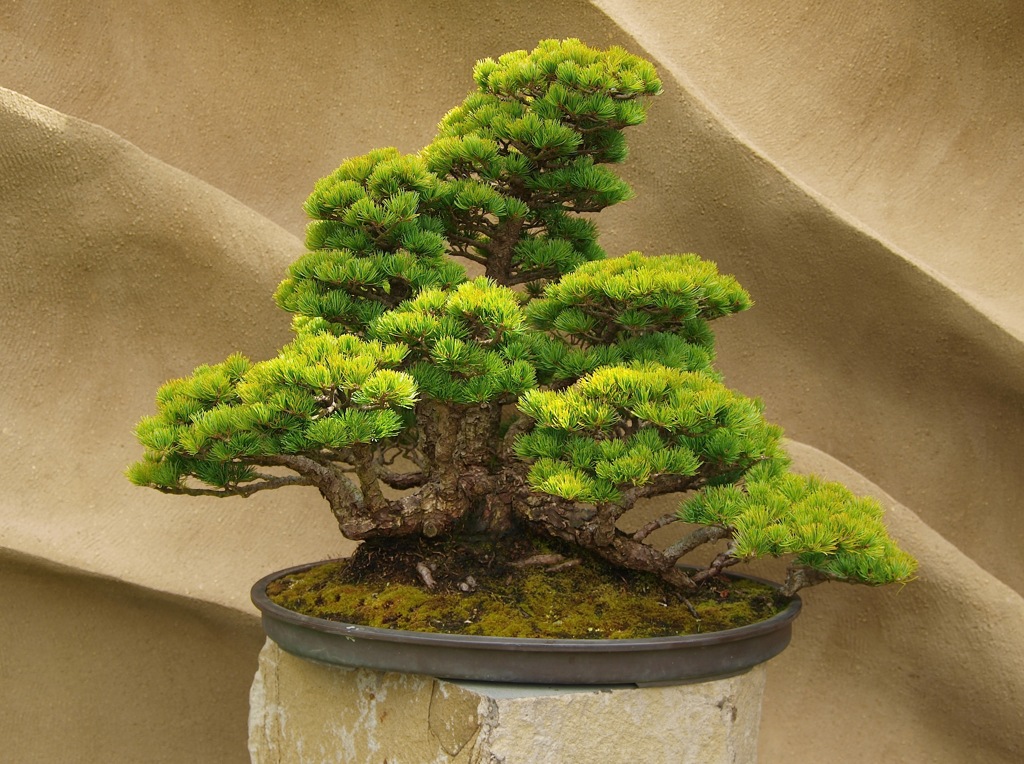 淡路　花博２０１０用写真