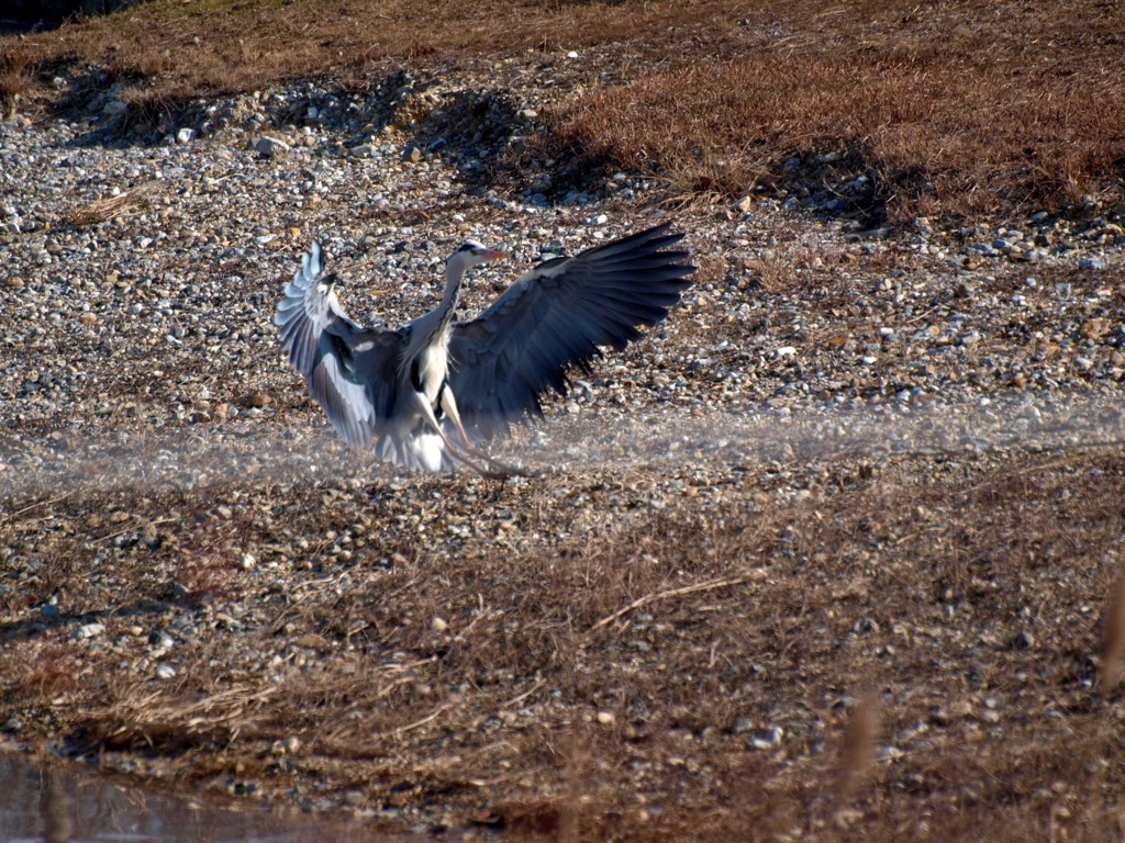 P0041927