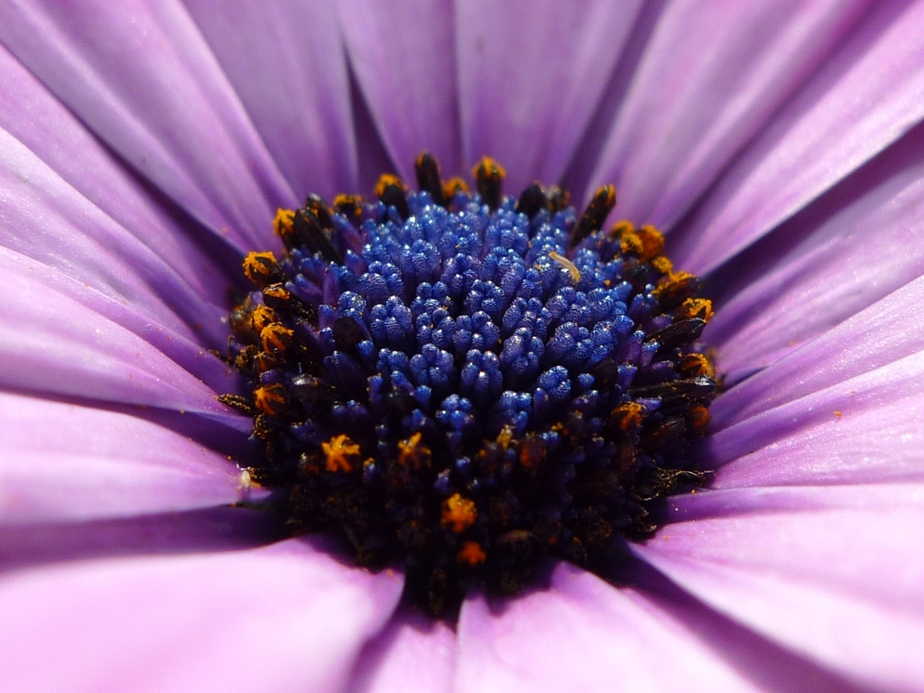 P1080278