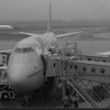 氷雨