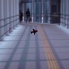 Attention Please, 二人の空へ