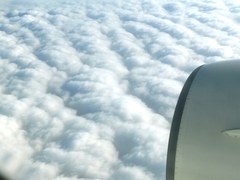 空撮