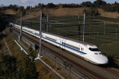 茶畑をバックに