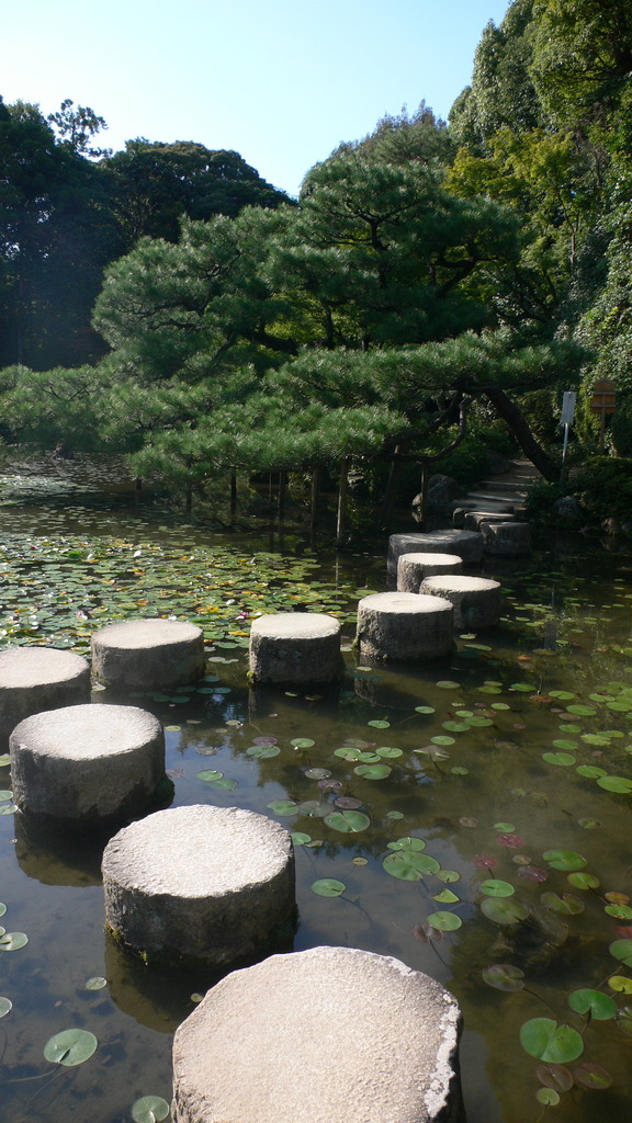 僕たちの背中を越えて行け