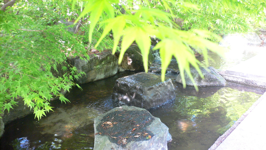 P1070776