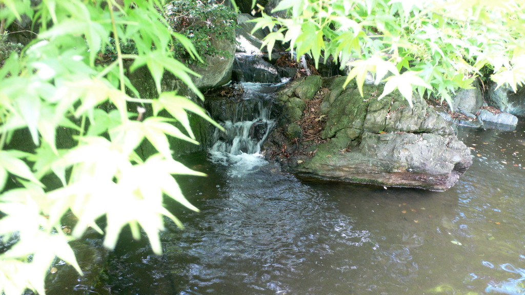 P1070777