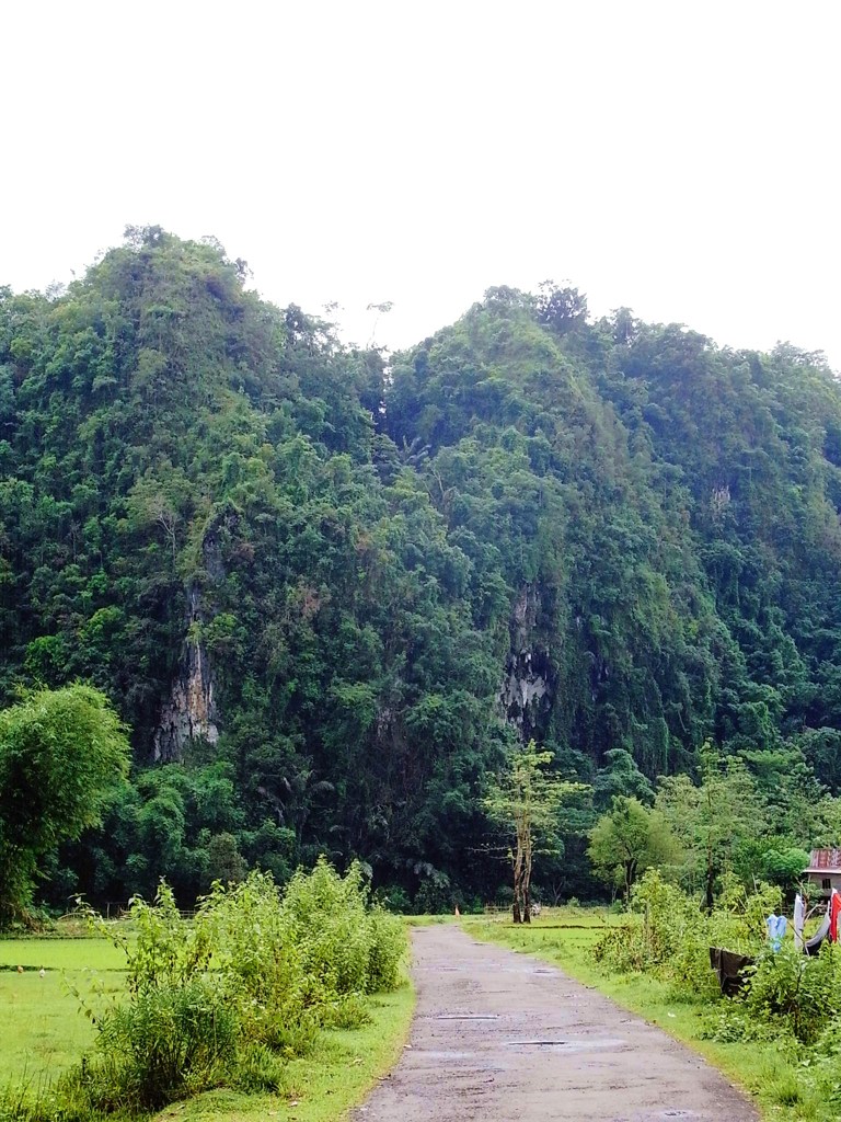 風景