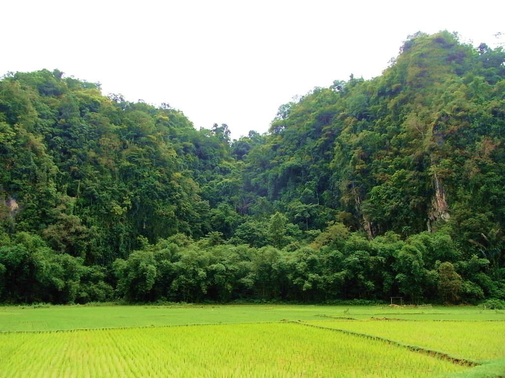 風景