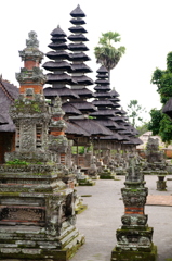 IMGP3612