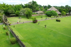 IMGP3607