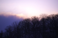 orange sky