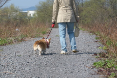 I足並みそろえて