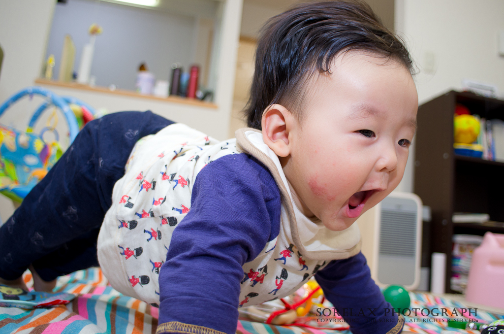 ダイナミック！！
