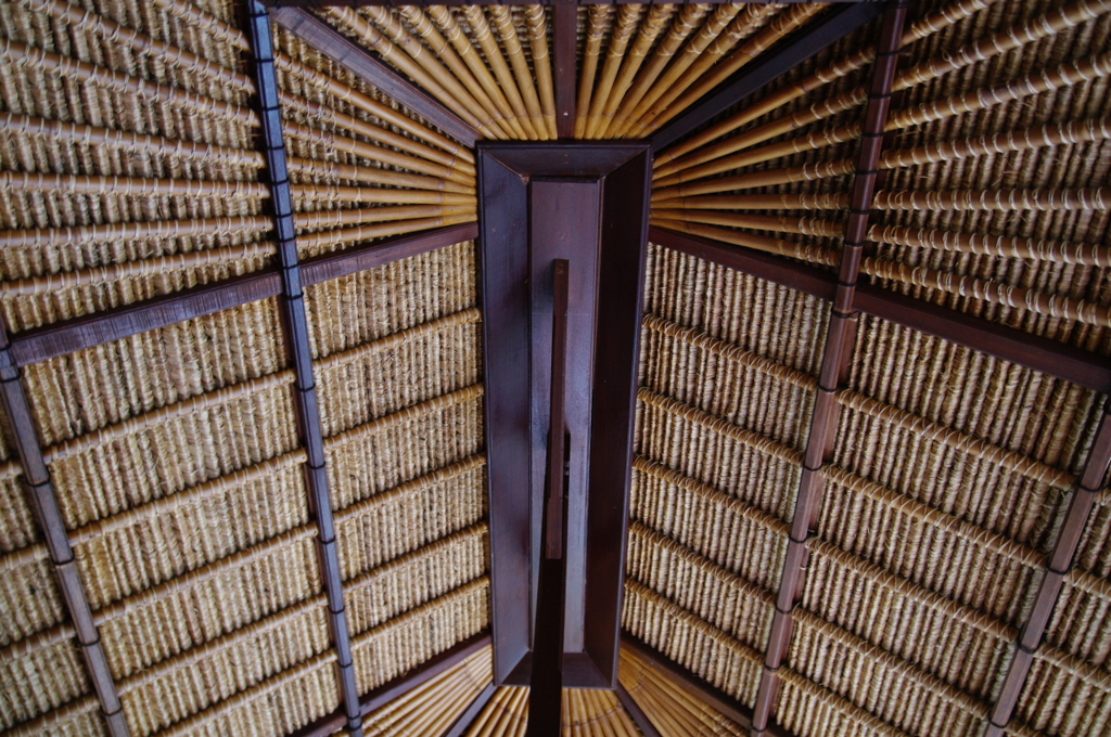 Vilaの屋根