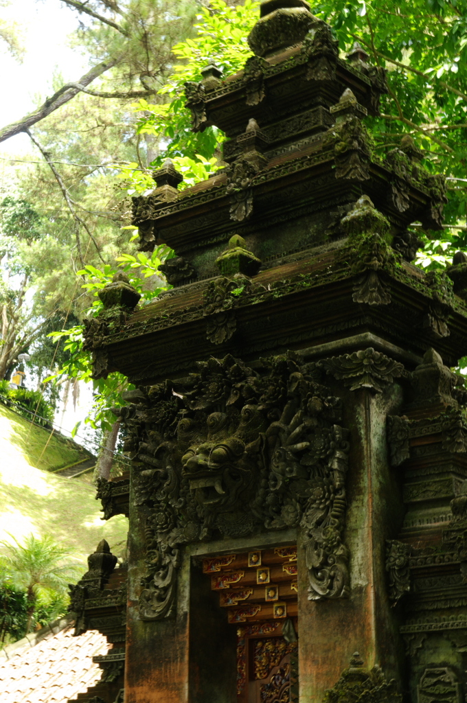 IMGP3525