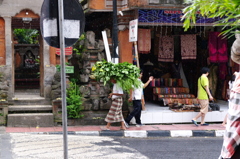 IMGP3595
