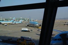 ソウル空港にてコリアンエアーを望む