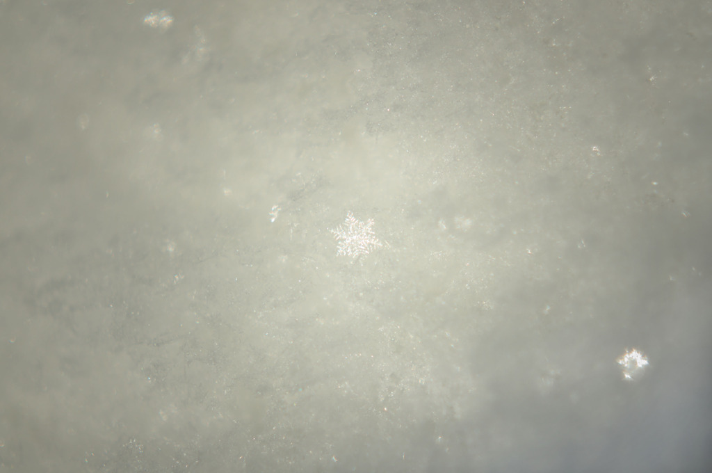 A snowy crystal.