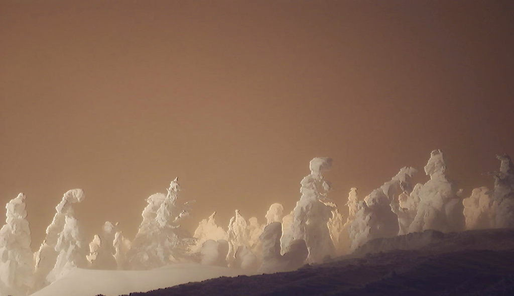 樹氷 ライトアップ Ⅲ