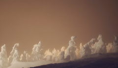 樹氷 ライトアップ Ⅲ