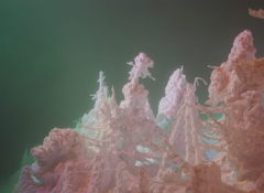 樹氷 ライトアップ Ⅰ