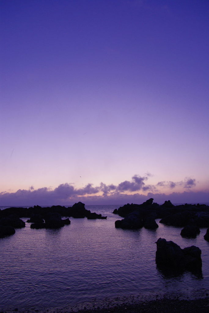 2010年　祝！！　初夜明け Ⅱ