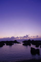 2010年　祝！！　初夜明け Ⅱ