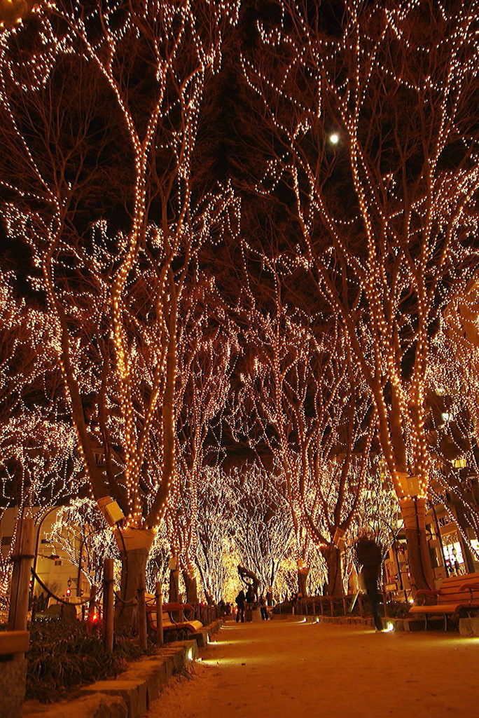 光のページェント Ⅱ