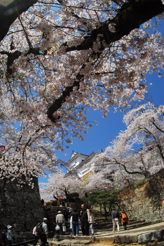 津山鶴山公園