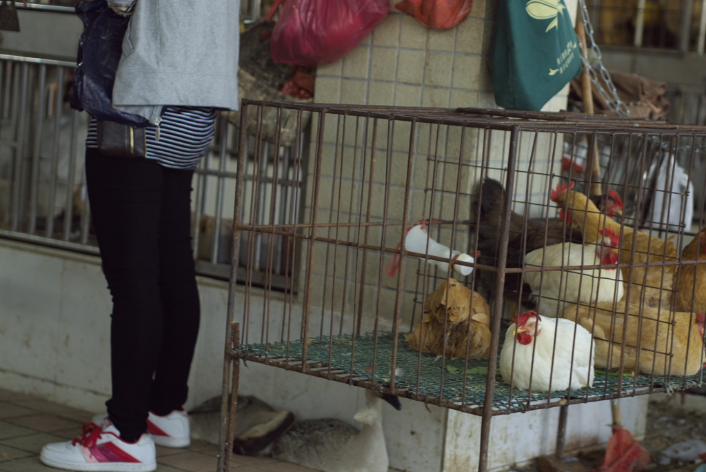 まるで動物園