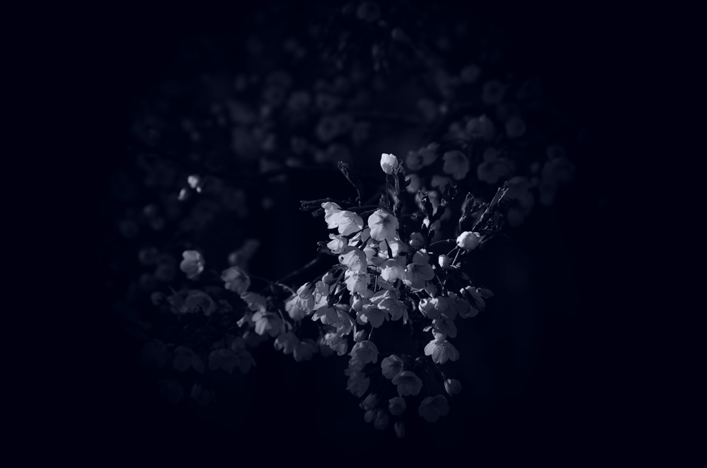 刹那