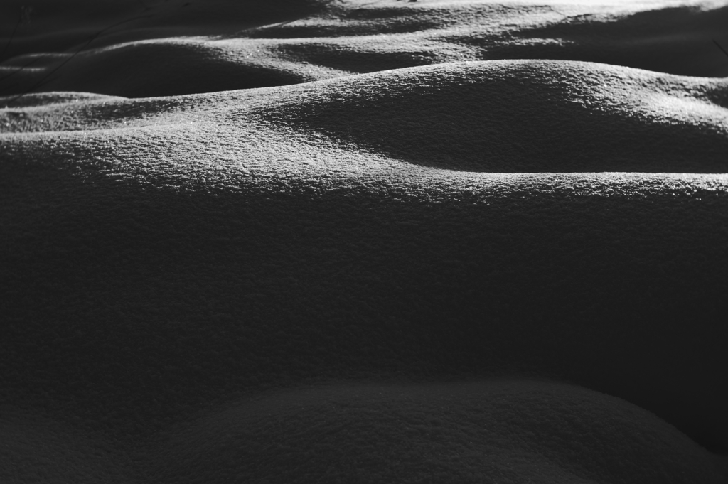 monochrome．