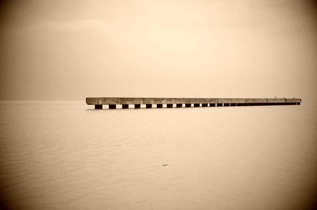 『Un hurlement déchira le silence』