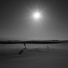 monochrome.