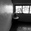 monochrome．