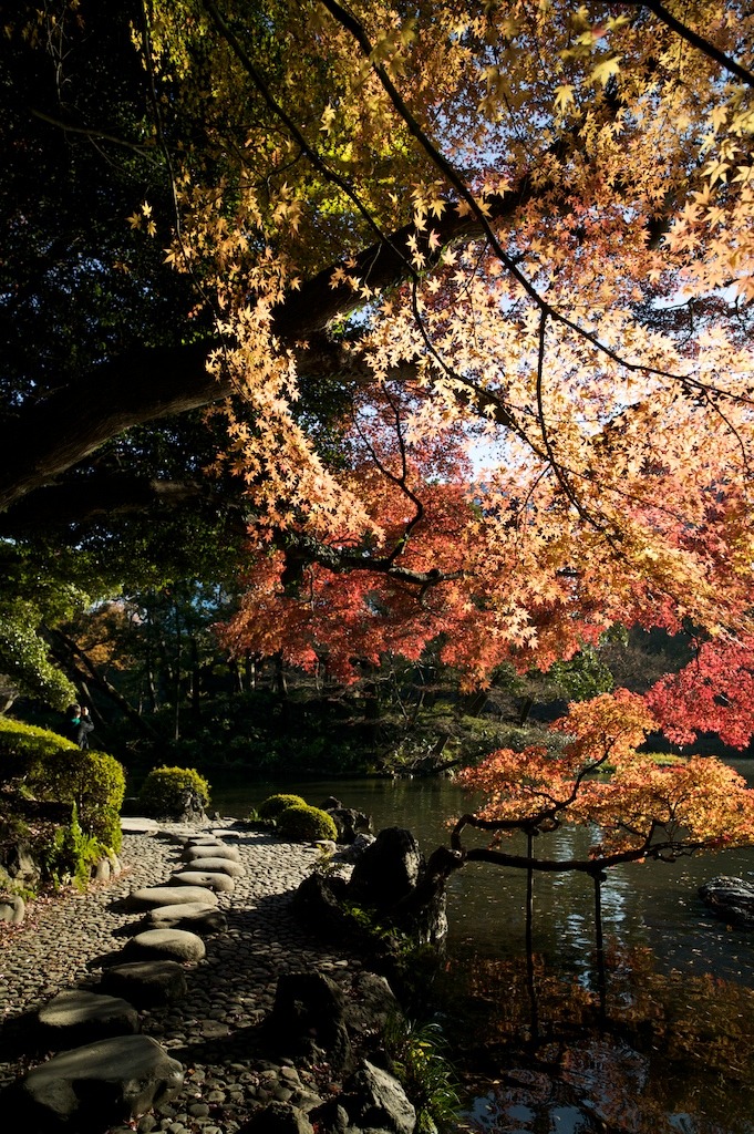 東京 紅葉 03