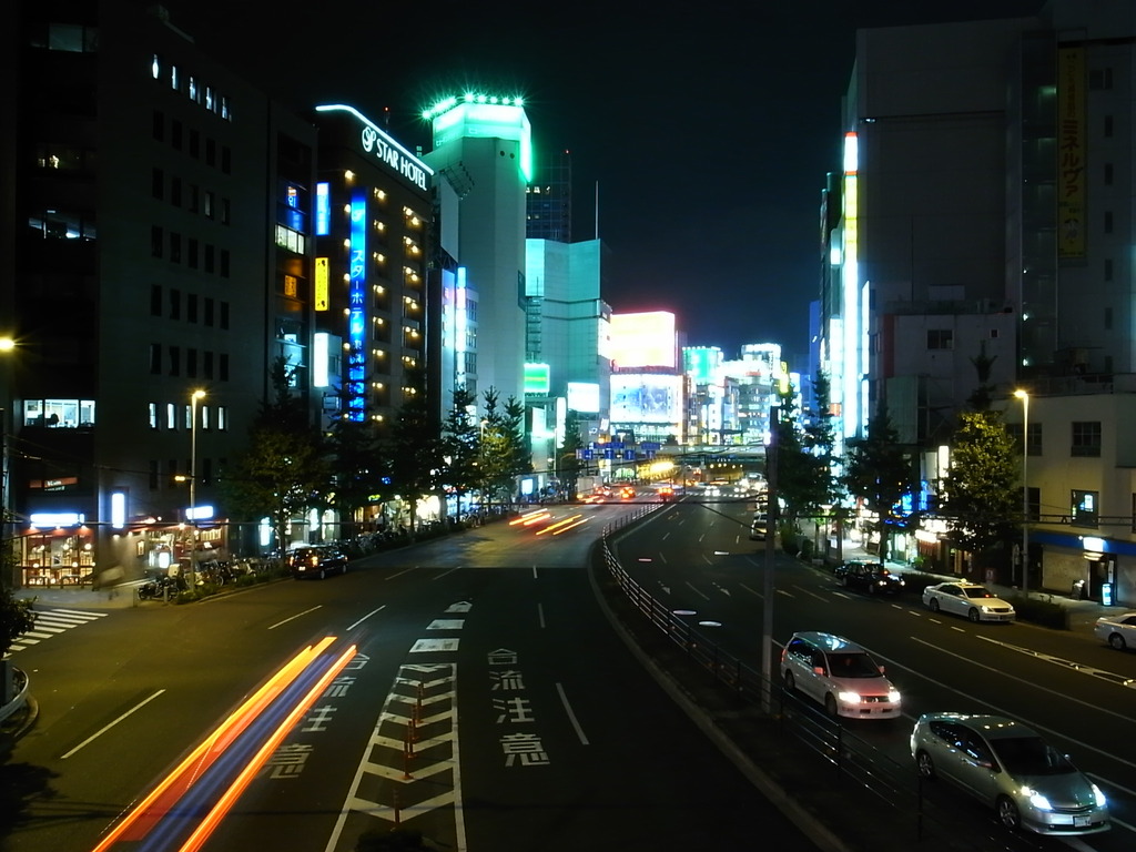 歩道橋から