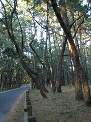 松原（DSC05041）