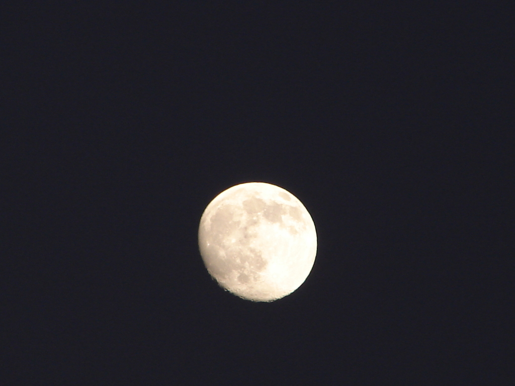 とりあえず・・moon（DSC01250）