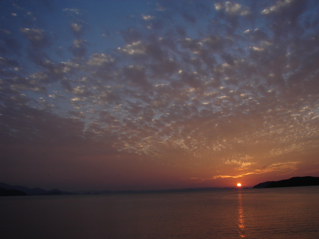 永遠であってほしい・・（DSC00215）